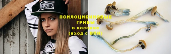 ешки Баксан