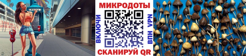 Галлюциногенные грибы мухоморы  Рассказово 